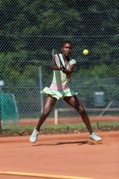 Noma Noha Akugue 315 - Amato Caffe Open